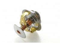 TERMOSTAT STEYR GAZELA